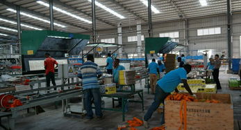 中國駐坦桑大使王克女士視察坦桑特福陶瓷廠 深化中坦產(chǎn)能合作新篇章